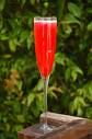 Champagne Polonaise  recipe