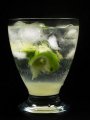 Vodka Gimlet #3  recipe